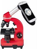 Купить микроскоп или телескоп - новогодние скидки уже в ноябре!